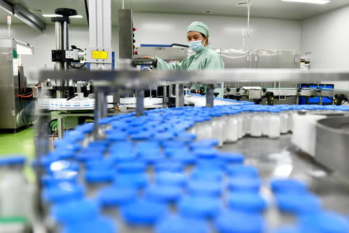 后来居上的“菏泽突破”——黄河入鲁第一市高质量发展观察